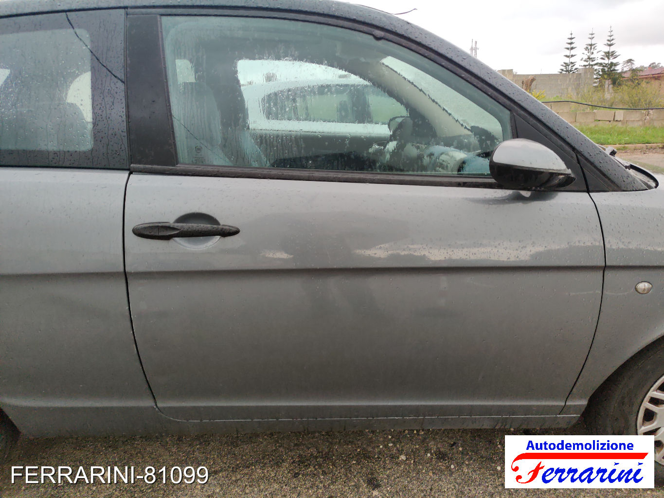 Sportello Portiera Frontale Destra