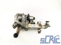 Valvola Egr RENAULT MEGANE 2 BM0/1, CM0/1 1.9 DCI 2002-2008 H7700107471