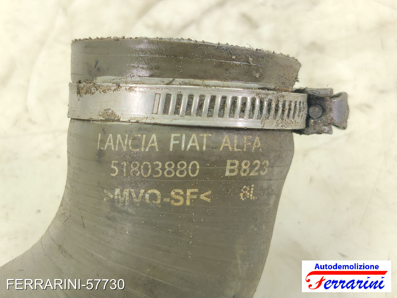 manicotto intercooler inferiore FIAT CROMA 194 1.9 D MULTIJET 2005-2011 51803880