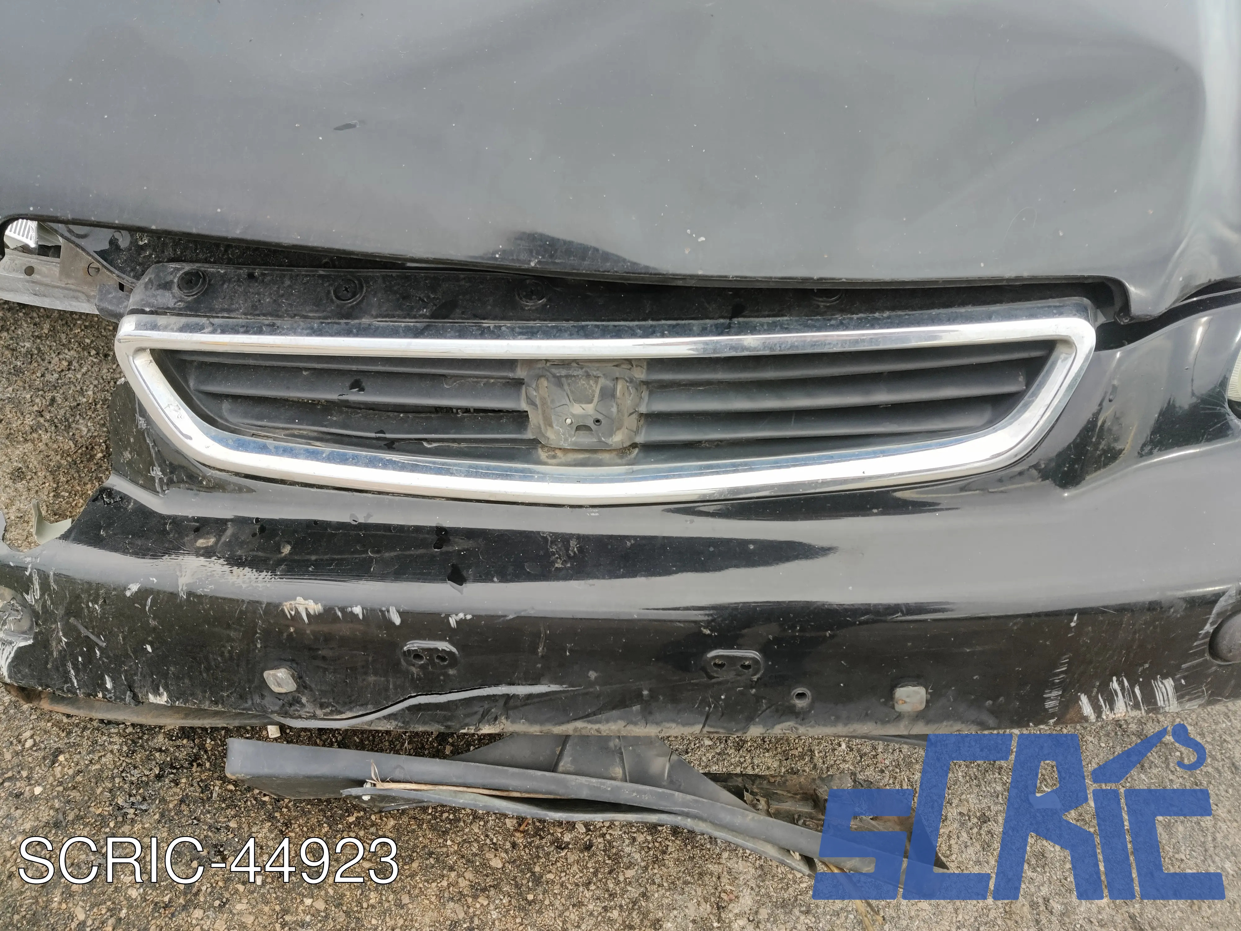 Rivestimento