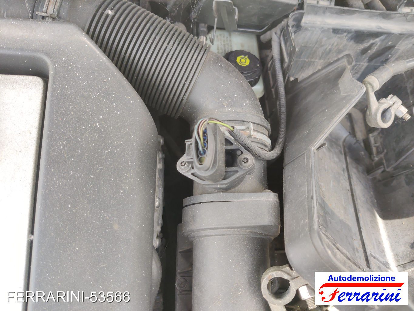 Vw Golf 5 1K1 1.9 TDI 105CV 2003-2008