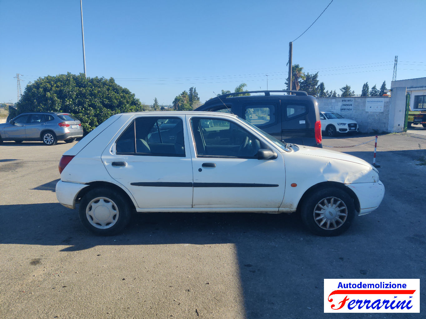 Ford Fiesta 4 67