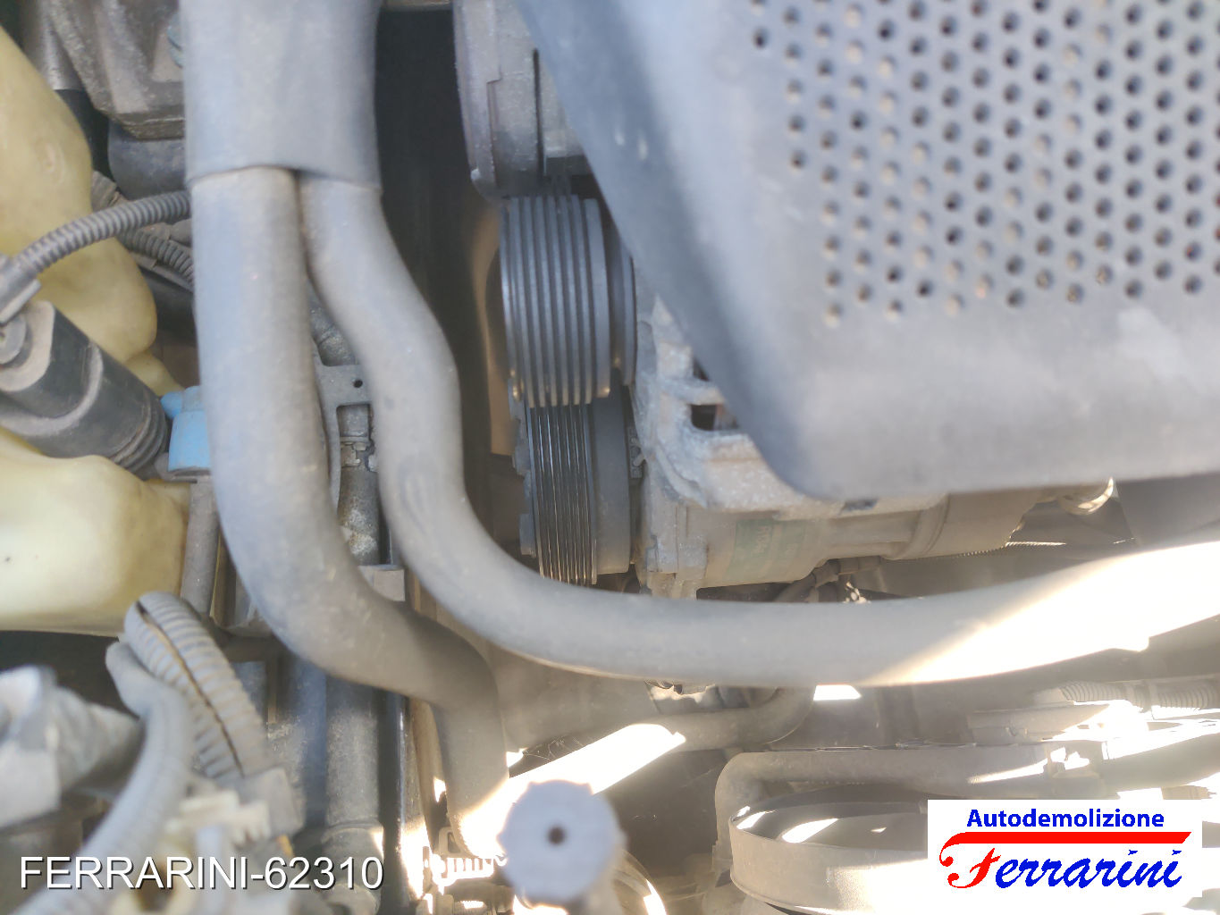 Vw Golf 4 1J1 1.6 100CV 1997-2004