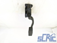 Pedale Acceleratore FIAT GRANDE PUNTO 199 1.3 D MULTIJET 2005-2013 55702020