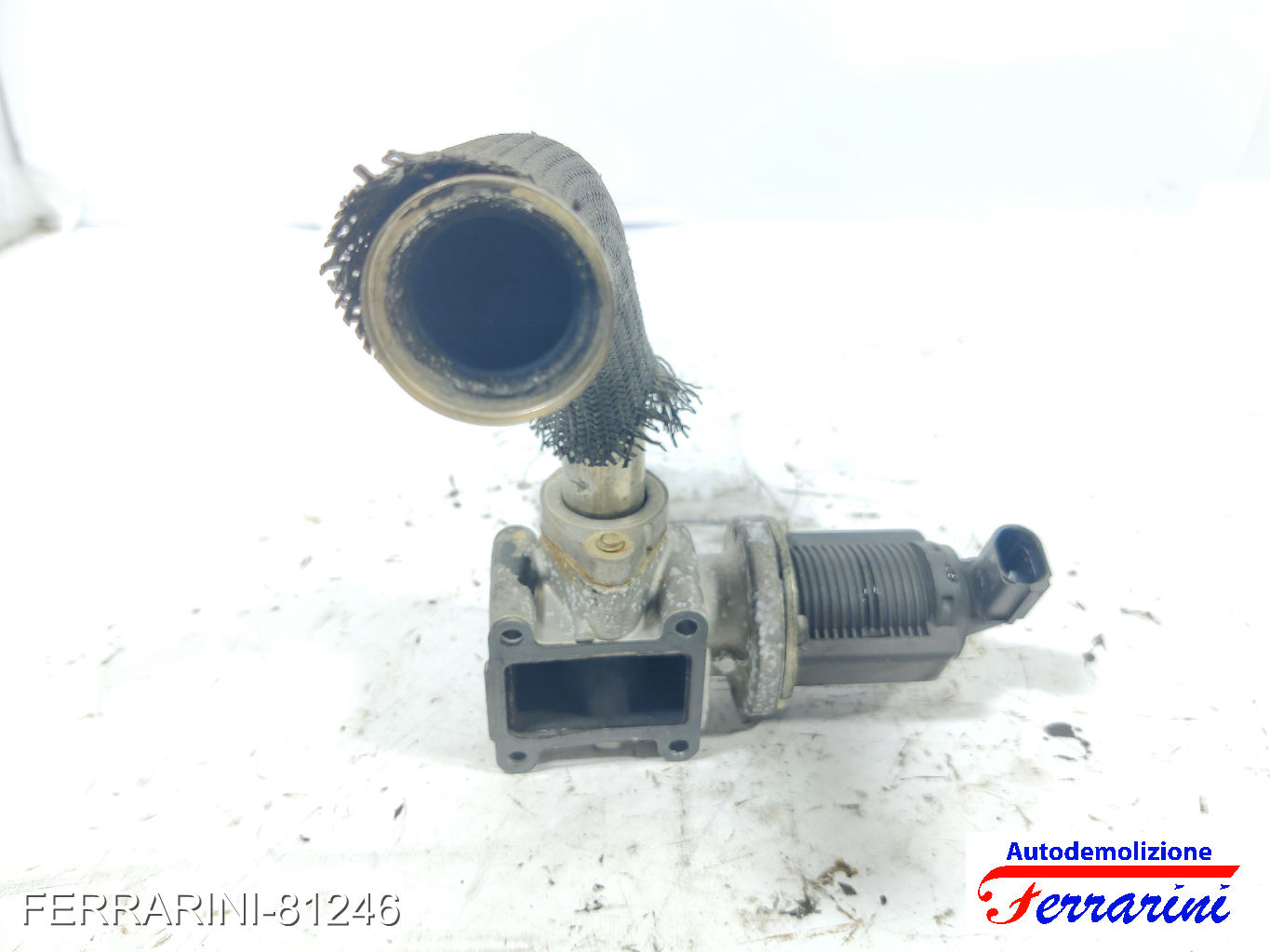 Valvola Egr FIAT CROMA 194 1.9 D MULTIJET 2005-2011 55194735, 5194735, 55204250