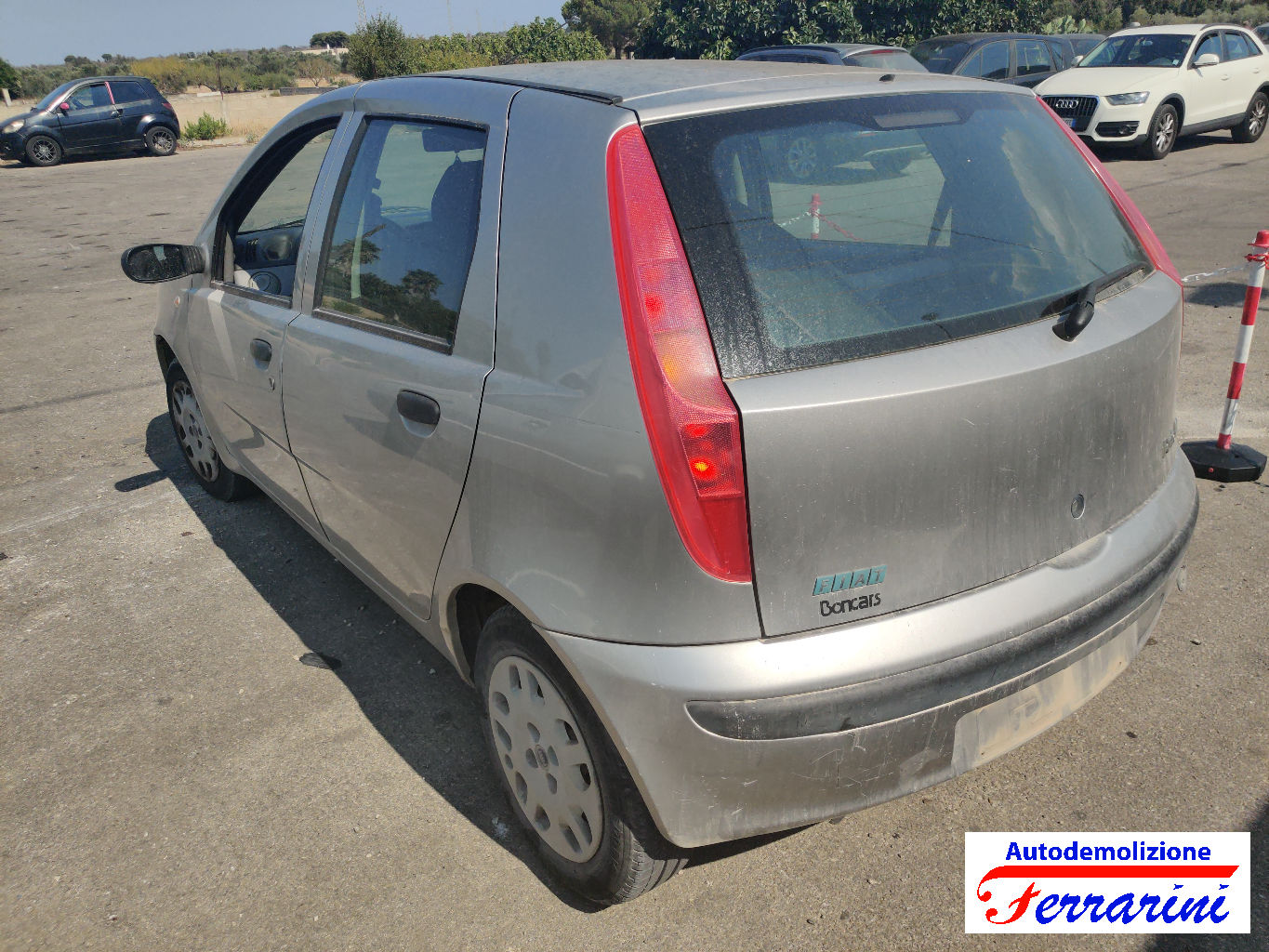 Fiat Punto 12