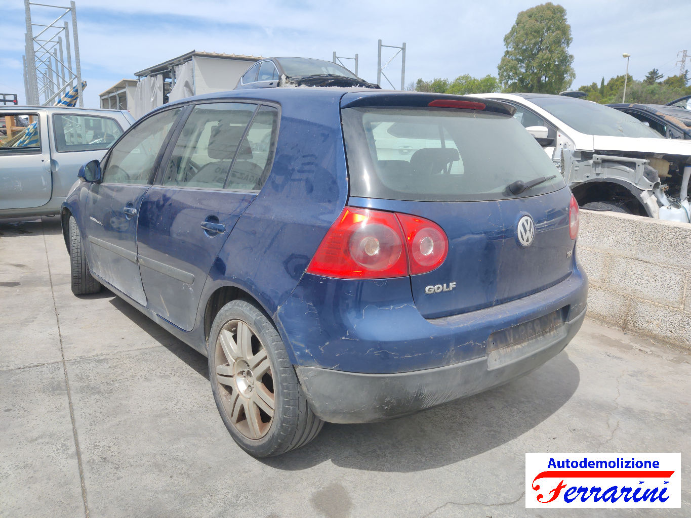 Vw Golf 5 1K1 1.9 TDI 105CV 2003-2008