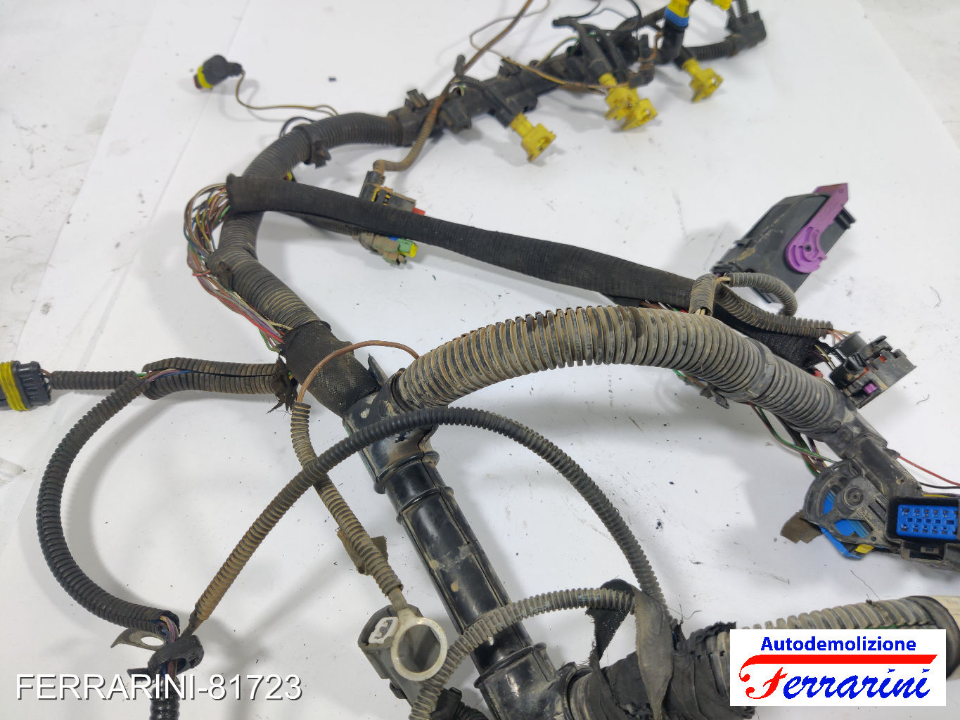 Cablaggio Motore LANCIA YPSILON 843 1.2 2003-2011 9