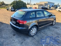 Audi A3 Sportback 8PA 1.9 TDI 105CV 2004-2010