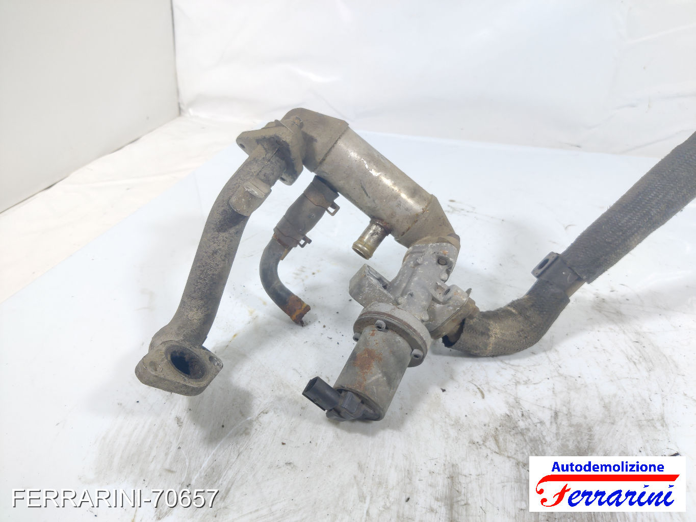 Valvola Egr FIAT PUNTO EVO 199 1.3 D MULTIJET 2009-2012 9807593080