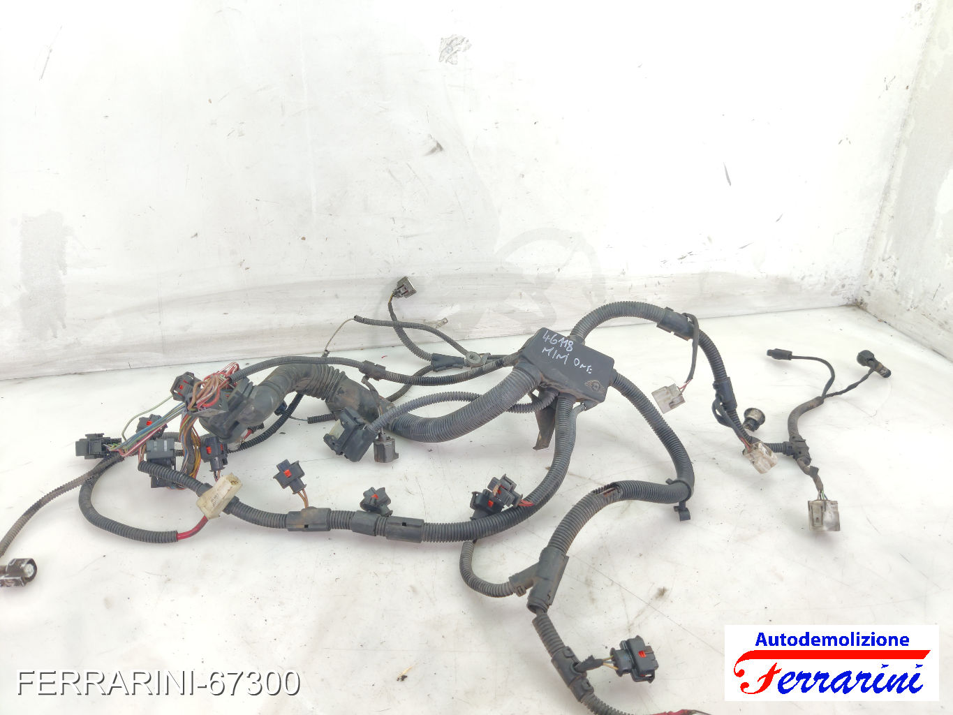 W10B16A Cablaggio Motore MINI - R50, R53 ONE 2001-2006 12517533100, 2861067810
