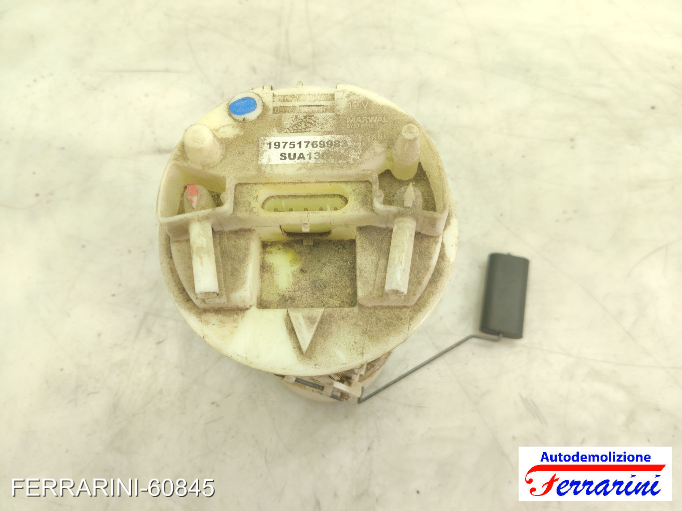 Cestello Pompa Galleggiante Serbatoio FIAT PUNTO 176 55 1.1 1993-1999 46473394
