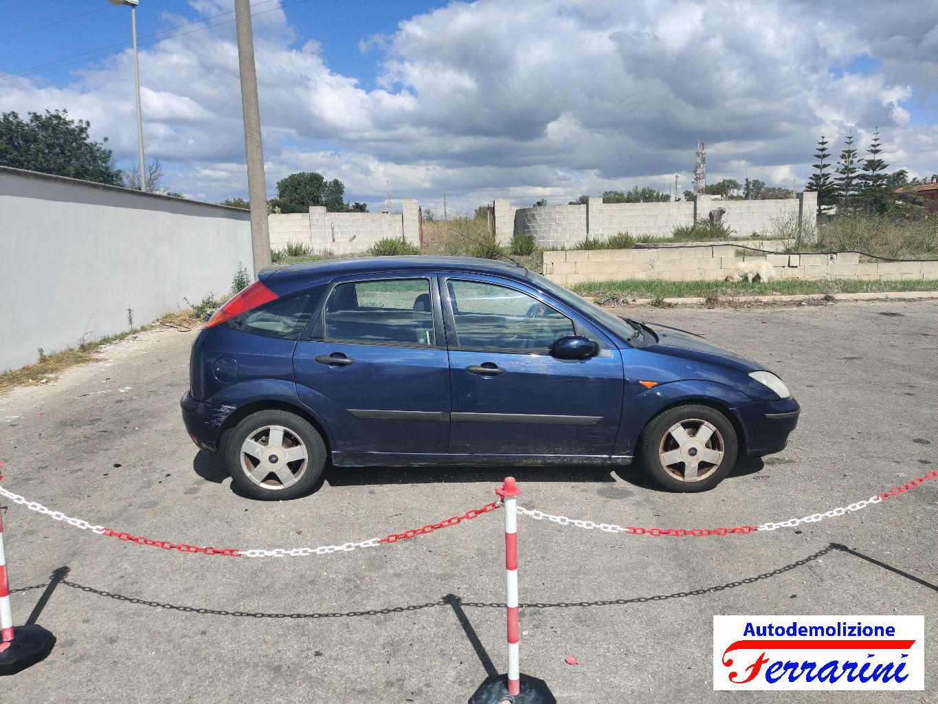 Ford Focus 77
