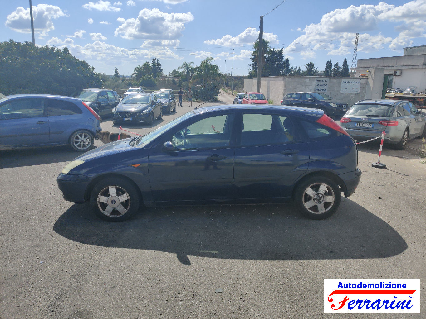 Ford Focus 67
