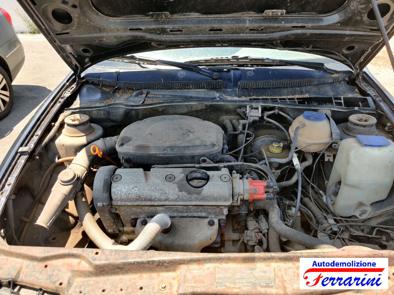 Seat Ibiza 2 6K1 1.0I 50CV 1996-2002