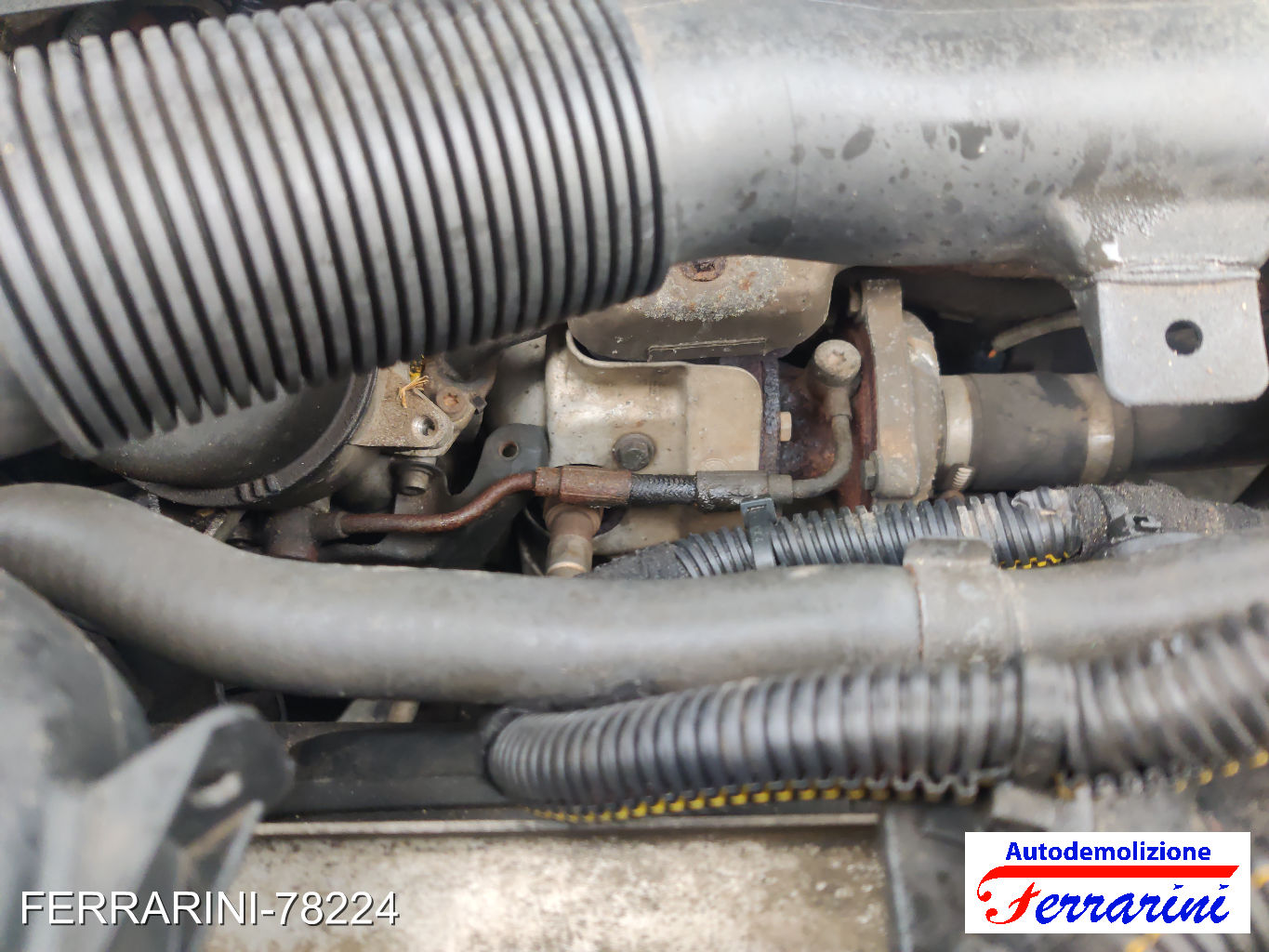 Turbina