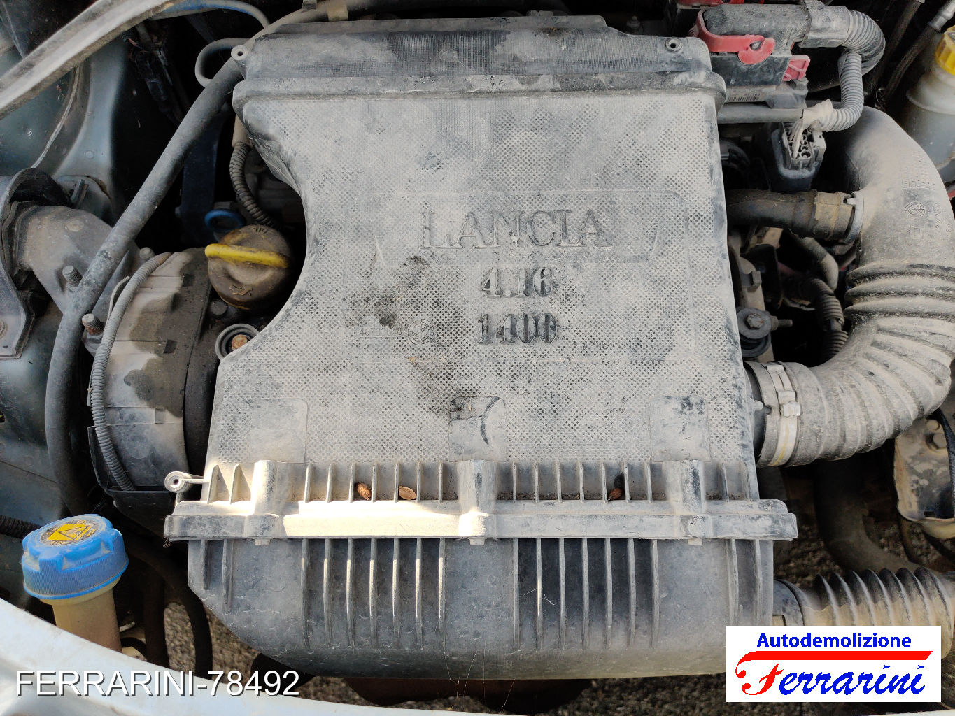 Lancia Musa 34