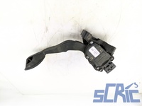 Pedale Acceleratore FIAT GRANDE PUNTO 199 1.3 D MULTIJET 2005-2013 46829061