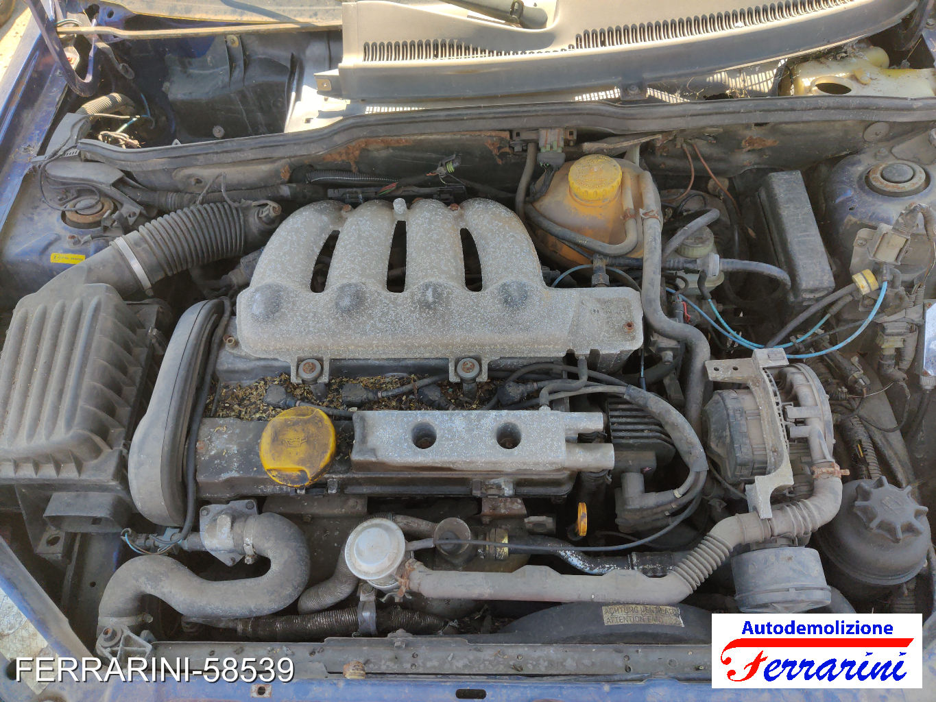 Opel Tigra S93 1.4 16V 90CV 1994-2000