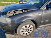 Audi A3 Sportback 8PA 1.9 TDI 105CV 2004-2010