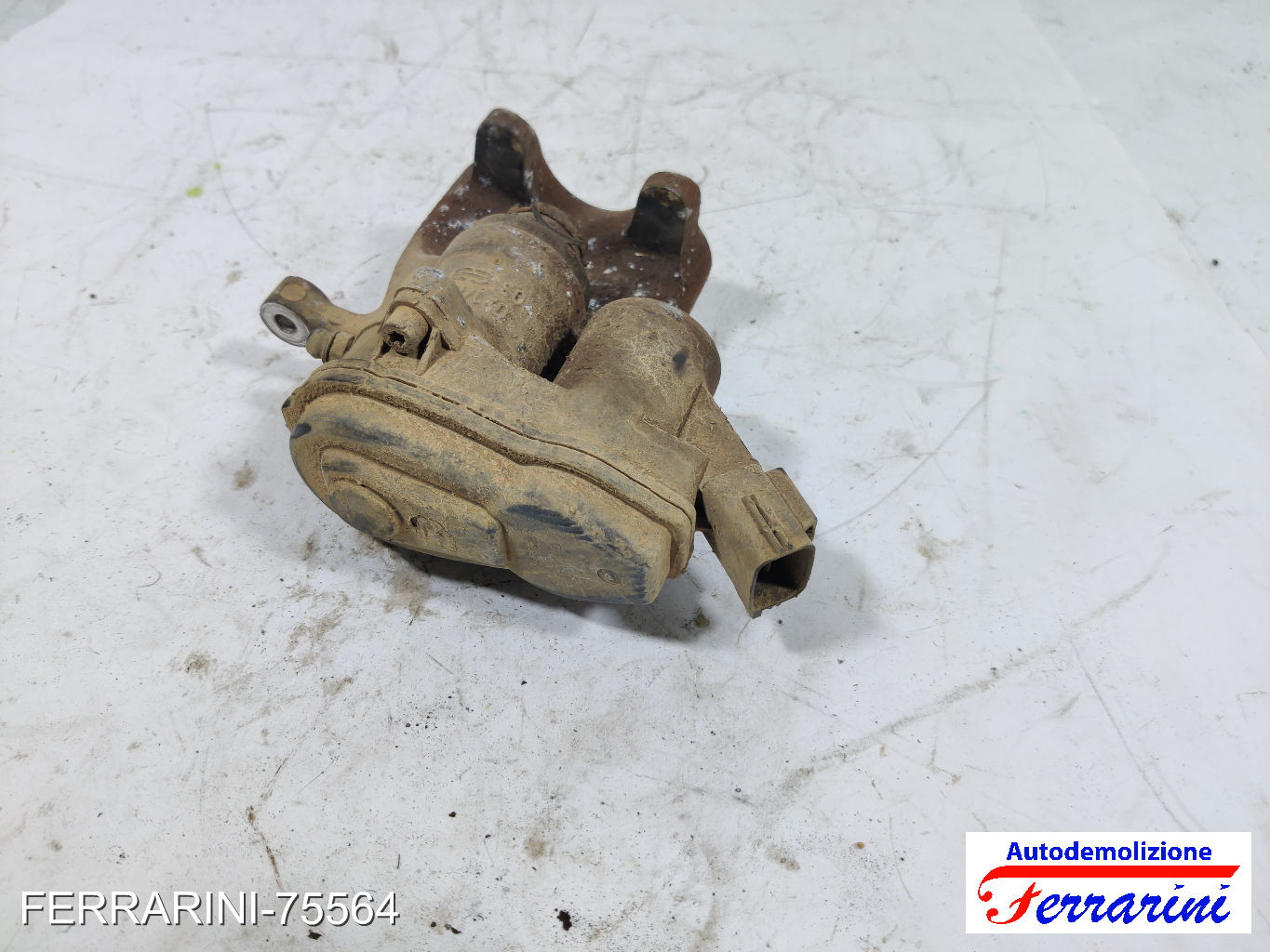 elettrica Pinza Freno RENAULT SCENIC 3 JZ0/1 1.5 DCI 2009-2023 440110675R 6
