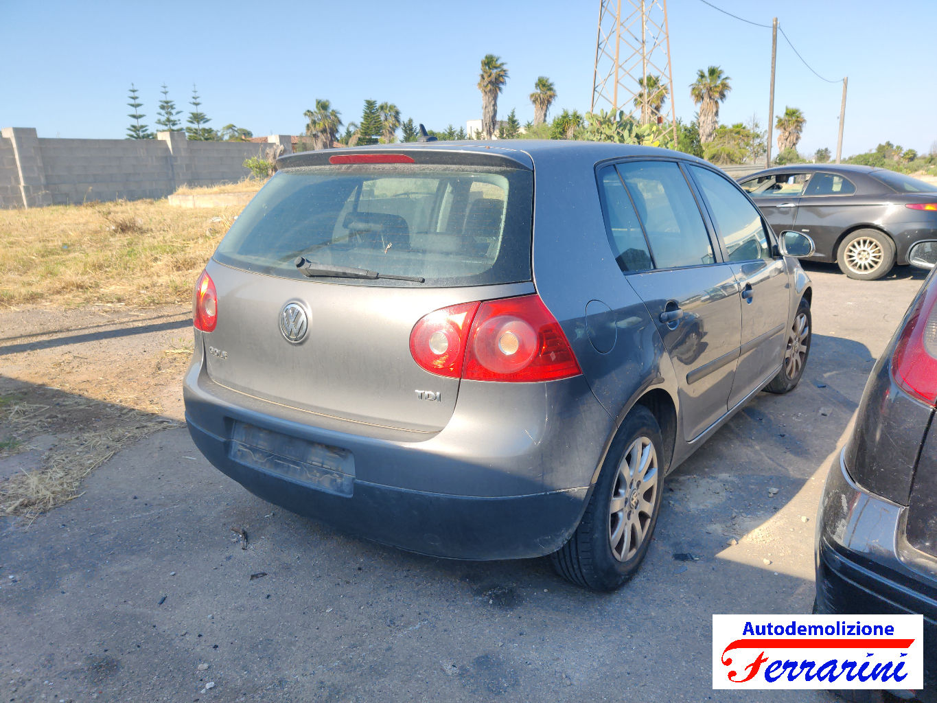 Vw Golf 5 1K1 1.9 TDI 105CV 2003-2008
