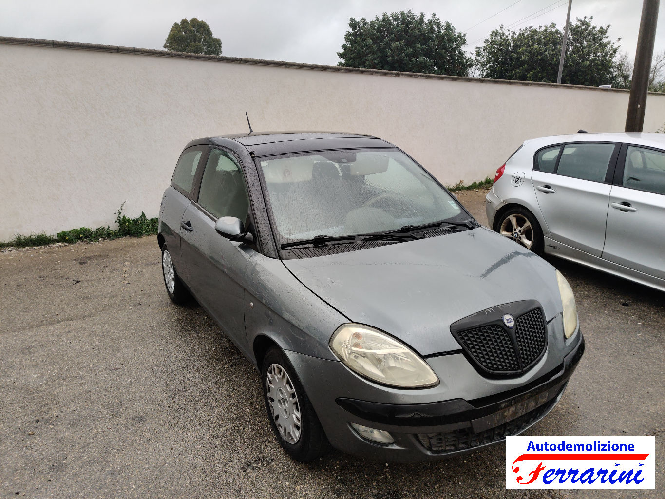 Lancia Ypsilon 13