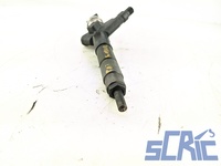 Iniettore NISSAN NP300 NAVARA D40 2.5 DCI 4WD 2005-2015 16600EB300, 16600EB30A