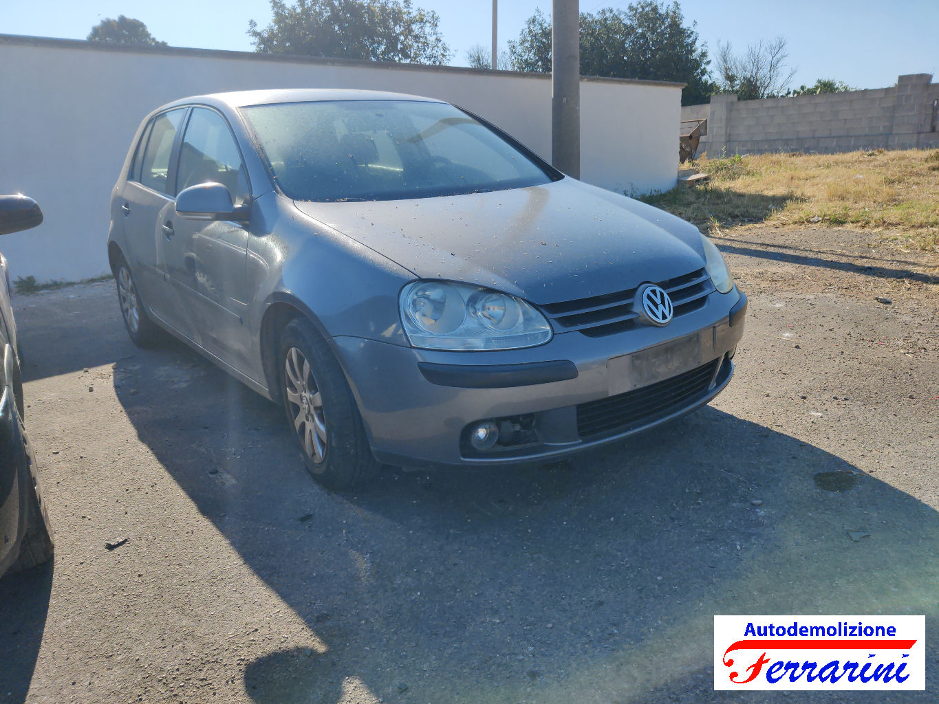 Vw Golf 5 1K1 1.9 TDI 105CV 2003-2008
