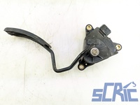 Pedale Acceleratore RENAULT MODUS F/JP0 1.2 16V 2007-2023 8200139319, 8200139319