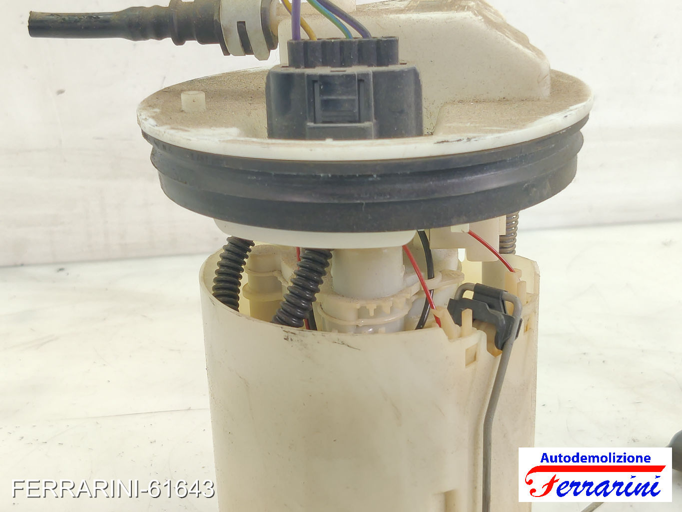 Cestello Pompa Galleggiante Serbatoio FORD FIESTA 6 1.25 2009-2023 2070055