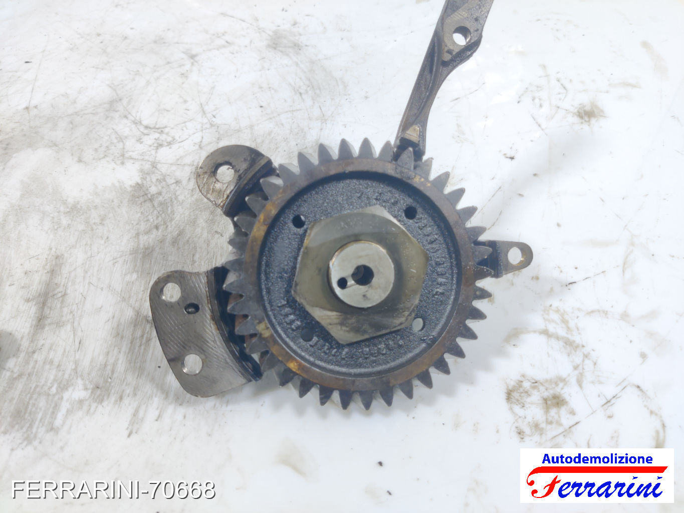 Ingranaggio albero a camme VW MULTI 5 7EF, 7EM, 7EN, 7HF, 7HM, 7HN