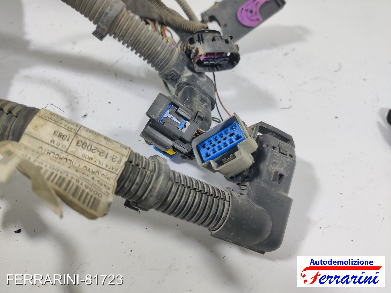 Cablaggio Motore LANCIA YPSILON 843 1.2 2003-2011 13