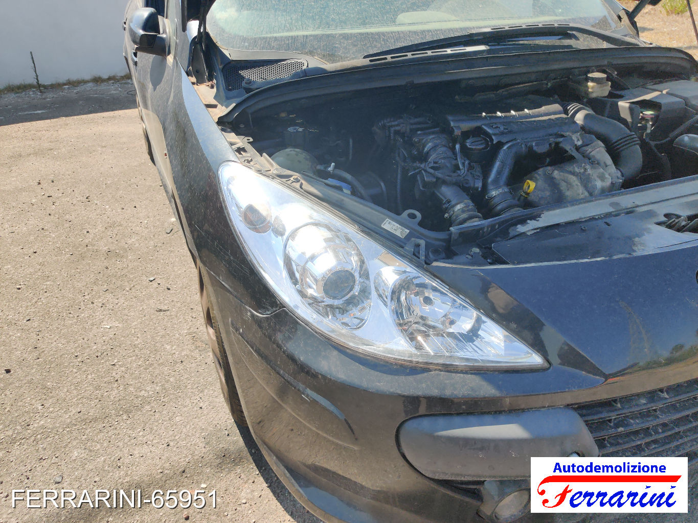 Peugeot 307 43