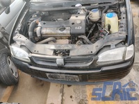 Musata Completa 6