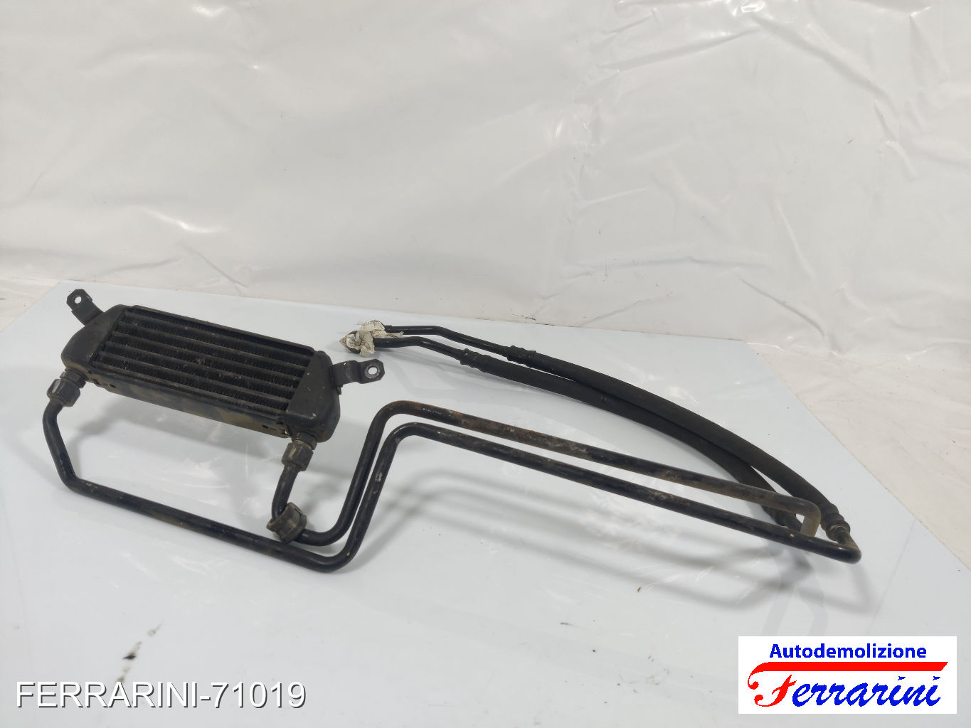 Radiatore Olio Motore OPEL CALIBRA A C89 2.0I TURBO 4X4 1991-1997 90351677 12