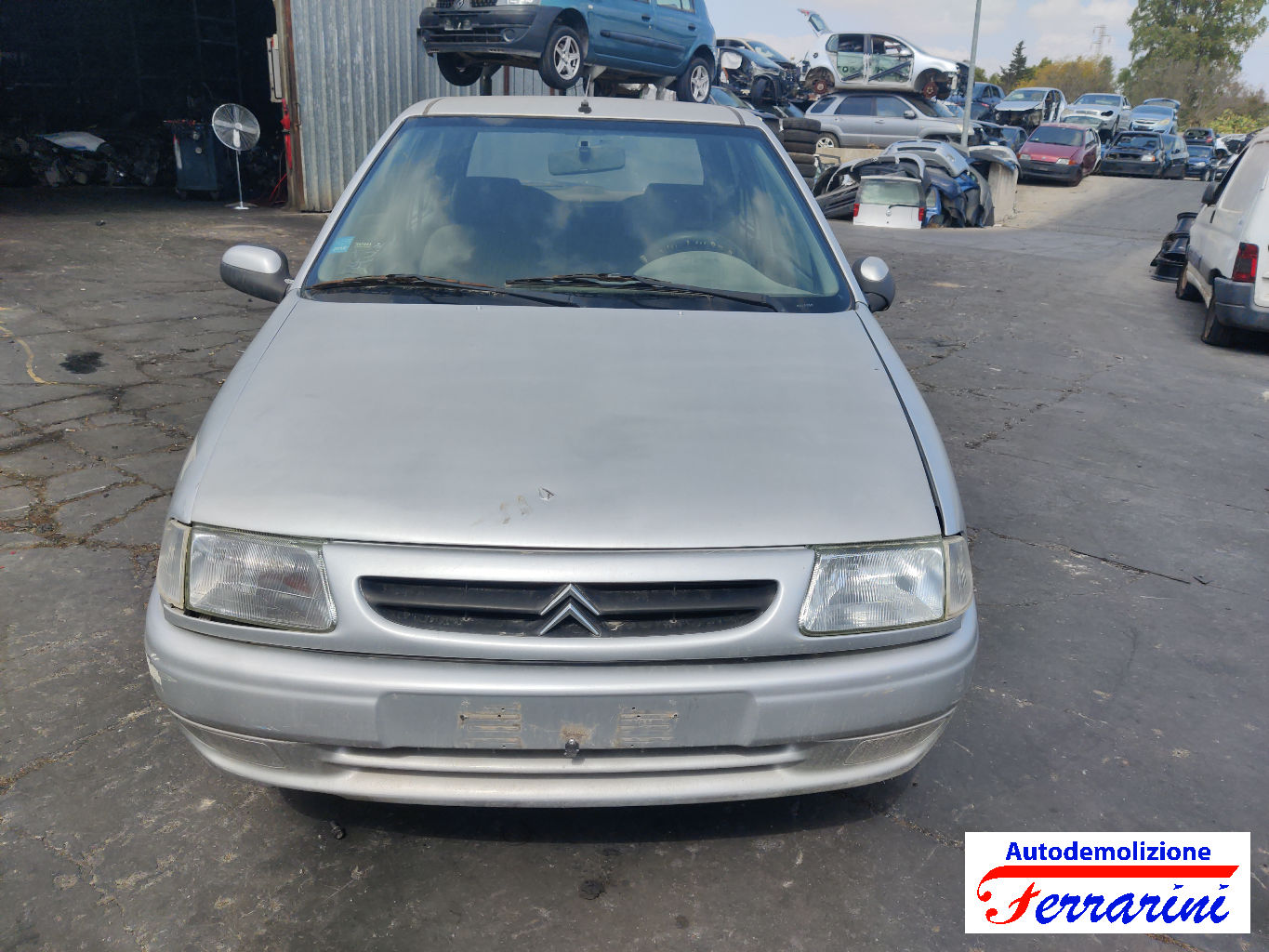 Citroen Saxo 7