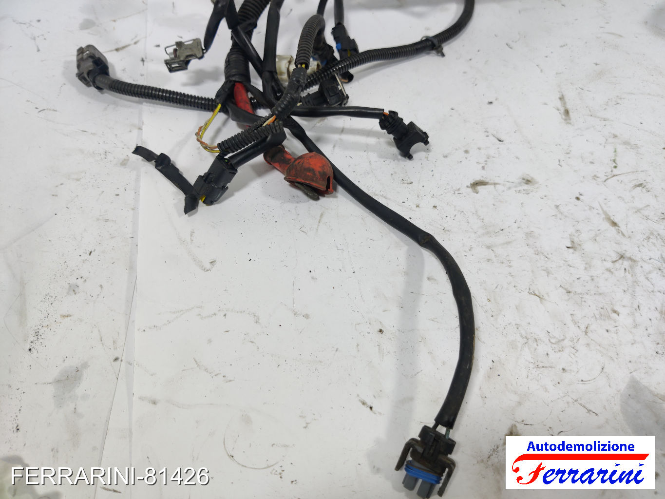 Cablaggio Motore 10