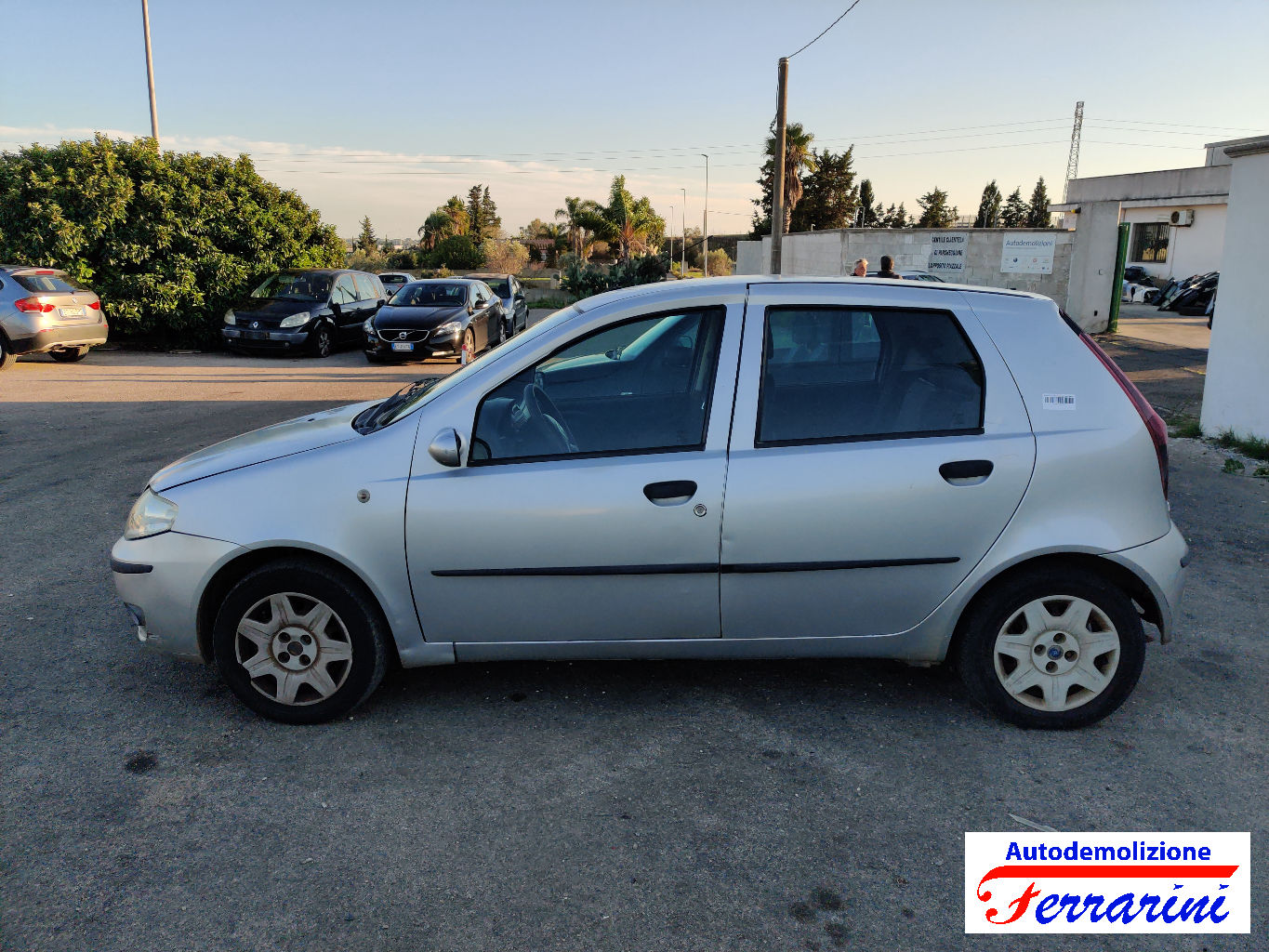 Fiat Punto 71