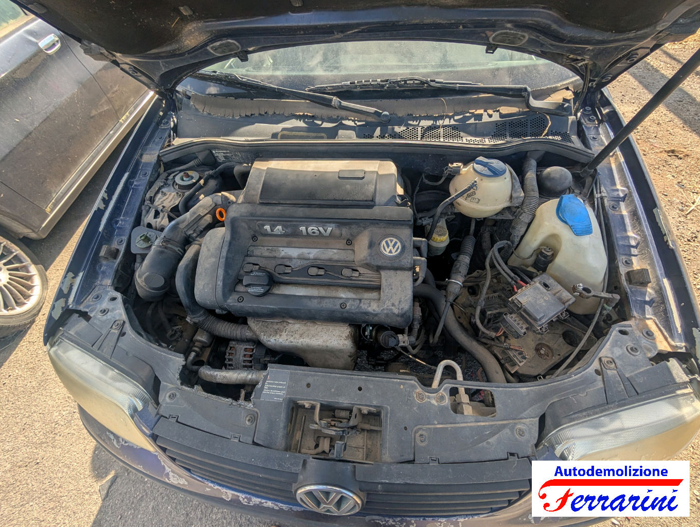 Vw Polo 6N2 1.4 16V 75CV 1999-2001