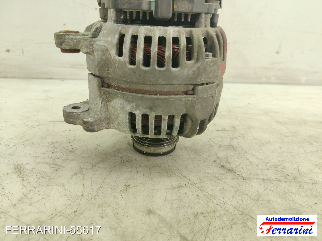 Alternatore VW PASSAT VARIANT 3B6 1.9 TDI 2000-2005 028903031