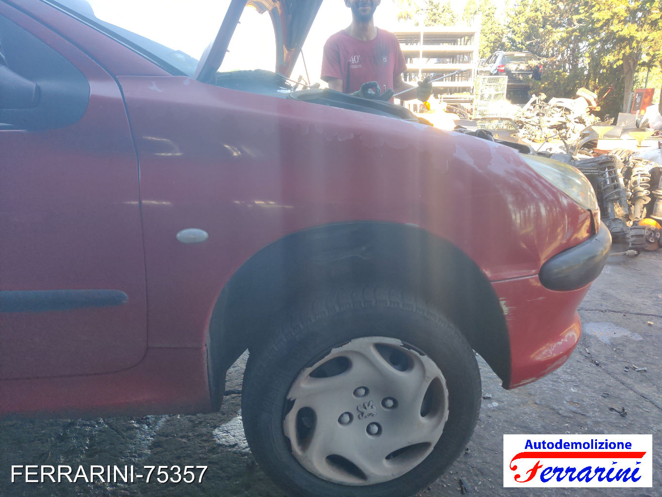 Peugeot 206 80