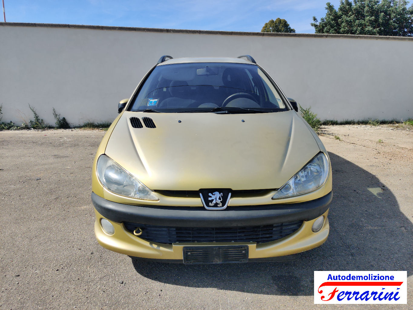 Peugeot 206 Sw 15