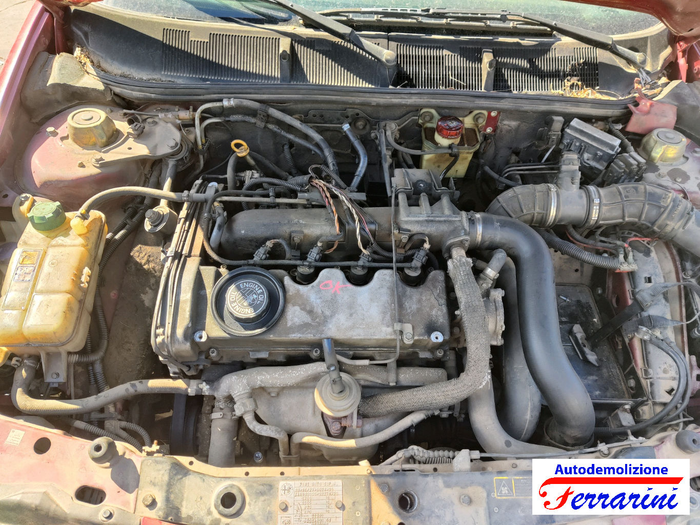Alfa Romeo 146 930 1.9 JTD 105CV 1999-2001