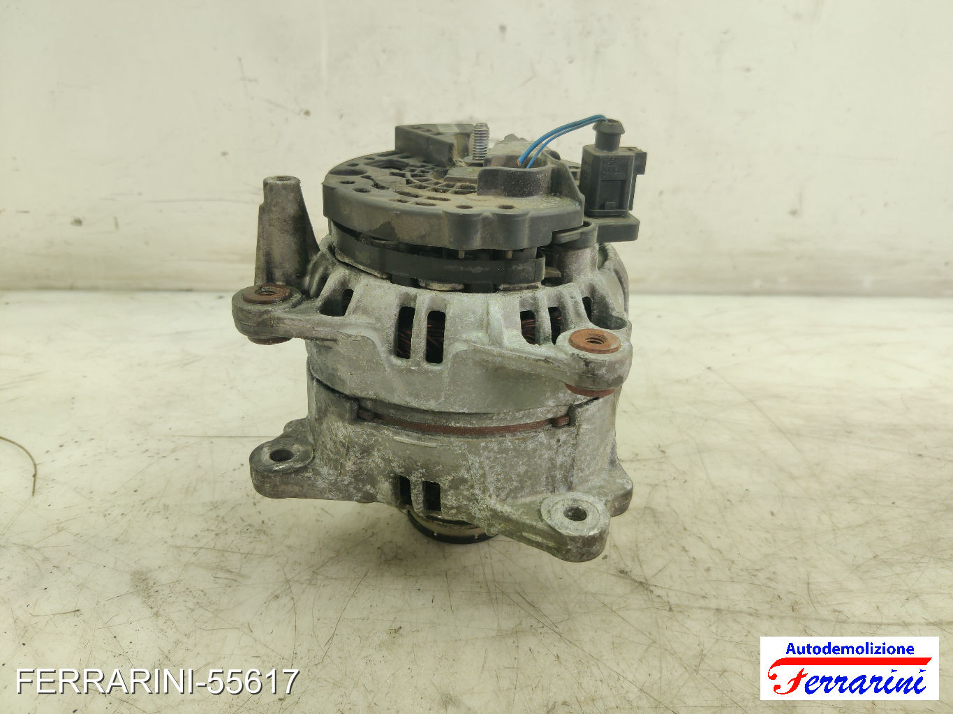 Alternatore VW PASSAT VARIANT 3B6 1.9 TDI 2000-2005 028903031 6