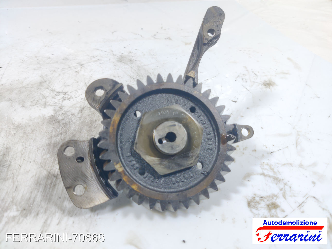 Ingranaggio albero a camme VW MULTI 5 7EF, 7EM, 7EN, 7HF, 7HM, 7HN