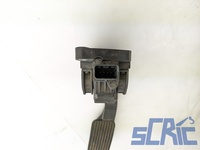 Pedale Acceleratore CITROEN XSARA PICASSO N68 1.6 1999-2010 9643473180