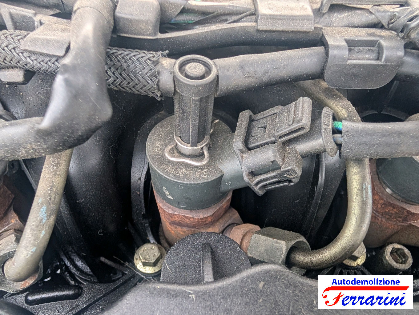 Ford Focus 2 DA, DP, HCP 1.6 TDCI 90CV 2005-2012