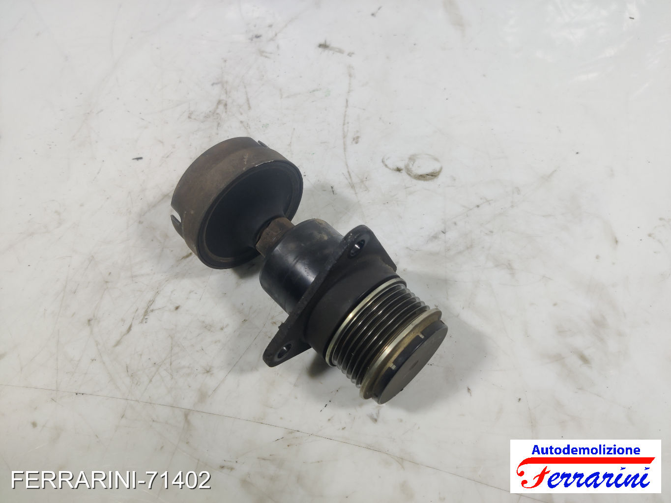 Puleggia Alternatore FORD FOCUS DAW, DBW 1.8 TDCI 2001-2004 1133969