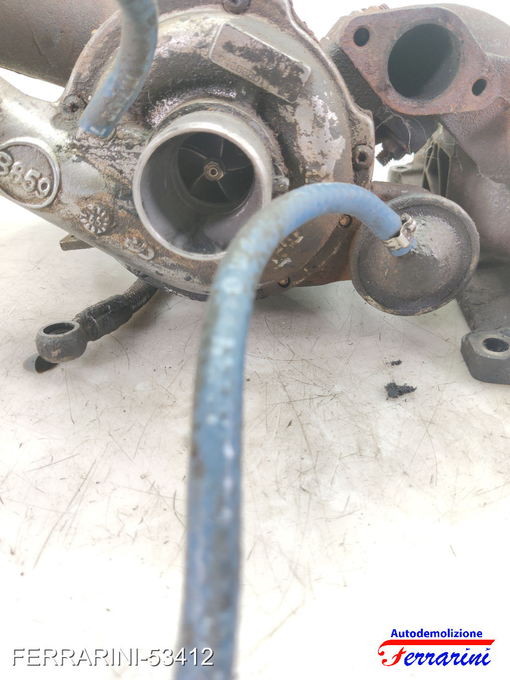 Turbina